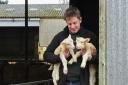 Tim Pratt at Wantisden Hall Farms with some of his lambs