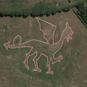 The dragon on a hillside in Bures