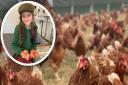 A family farm has welcomed 2,500 chickens back to its premises after it was closed for six months due to a bird flu outbreak.
