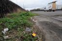 Litter along the A14 at Risby.