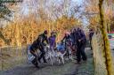 Catch events including Husky racing this weekend in Suffolk
