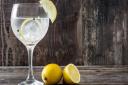 World Gin Day 2021 is coming up in June