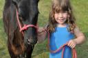 Four year old young handler Evie Lanham with her Aberdeen Angus calf, Poppy  Picture: SARAH LUCY BROWN