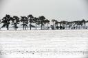 More snowfall could hit Suffolk in February