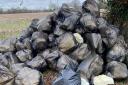 Loads of bin bags were dumped in Halstead