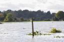 There are eight flood warnings in place across Suffolk
