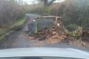 Fly tipped rubbish is blocking a road in Pebmarsh