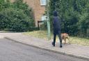Police would like to speak to the man pictured after a dog was left injured following an attack