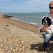 A list of some of the dog-friendly beaches across Suffolk and north Essex