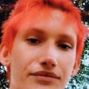 Benji Gant has been reported missing from Sudbury