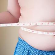Concerns have been raised that rising food prices could lead to more obese children