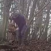 A man has been arrested after footage emerged of a fox being attacked in Essex