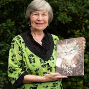 Maureen Crisp (pictured) from Sudbury has teamed up with her friend Angela Davis to create a book about cats called Feline Fine!