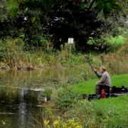 The Environment Agency has tested the River Stour at Bures for E. coli