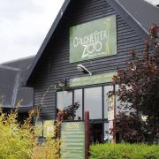 The zoo will not be open to customers from March 23, with the zoo saying the future looks uncertain Picture: ARCHANT