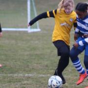 Semi-final action from the Suffolk Youth Under 12 Girls Cup between Ipswich Valley Rangers (blue & white hooped shirts) and Waveney Cougars (gold shirts) which Waveney won 1-0. Picture: SUFFOLK FA