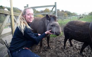 Jimmy's Farm near Ipswich has plenty of events on this Easter