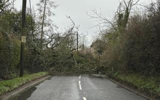 A tree is blocking a road through Withersfield